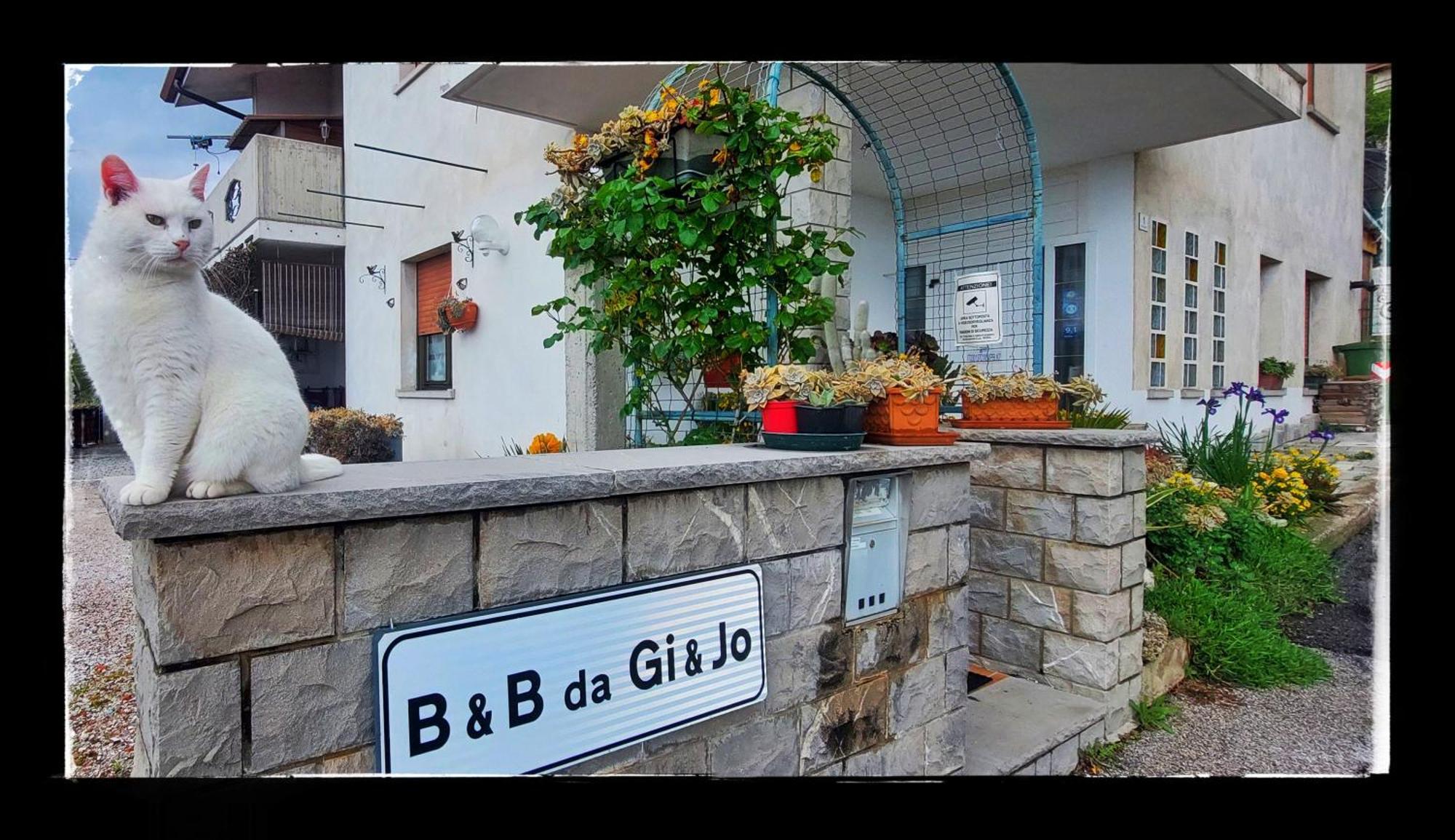 B&B Da Gi&Jo Forgaria nel Friuli Eksteriør billede